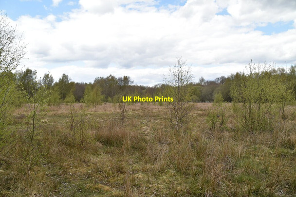 Photo 6"x4" Blindley Heath Blindley Heath c2021
