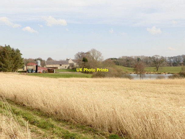 Photo 6"x4" Costerton Mains Fala\/NT4361 c2022