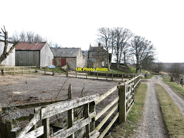Photo 6"x4" Hainingrigg Farm Bellingham\/NY8383 c2022
