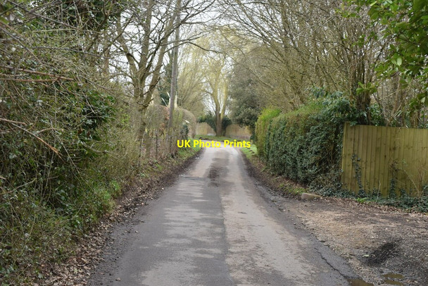 Photo 6"x4" Symonds Lane Laddingford c2021 P1
