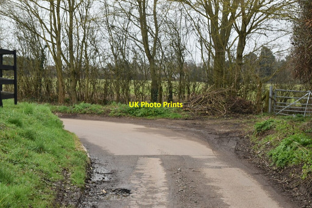 Photo 6"x4" Symonds Lane Laddingford c2021