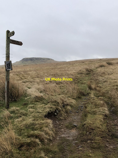 Photo 6"x4" Pennine Way Signpost Hury c2022