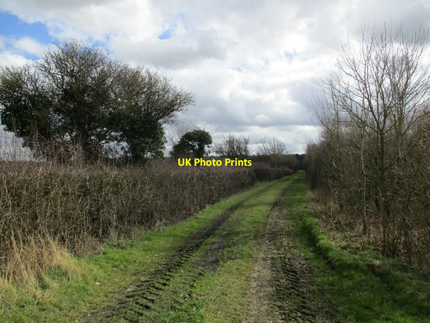 Photo 6"x4" Farm track near Lowfield Farm Young Wood c2022