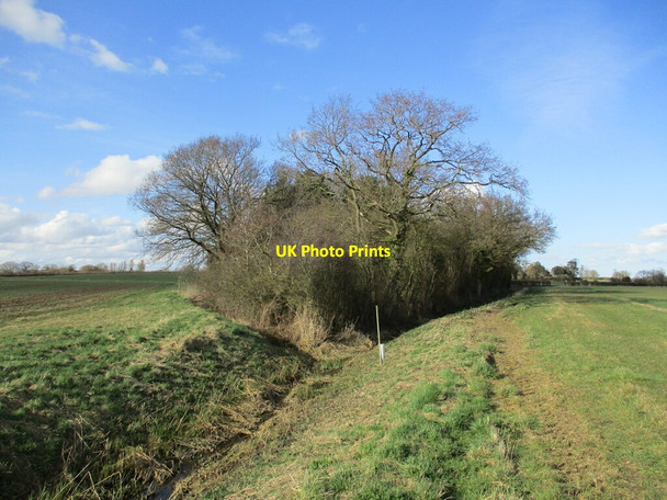 Photo 6"x4" Footpath and spinney, Gautby Great Park Gautby c2022