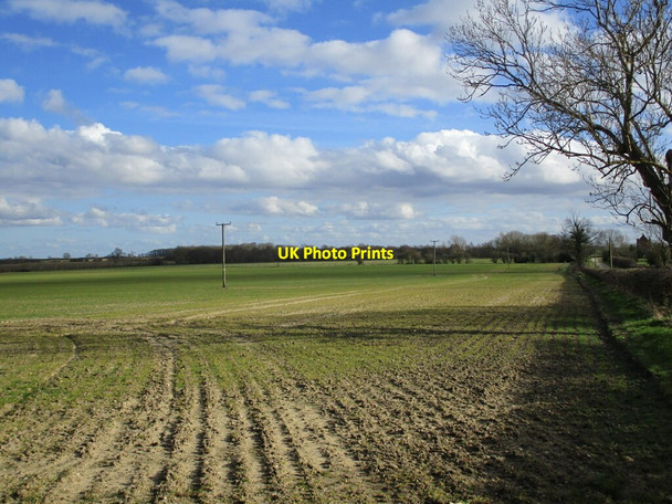Photo 6"x4" Autumn sown crop near Moat House Farm Gautby c2022