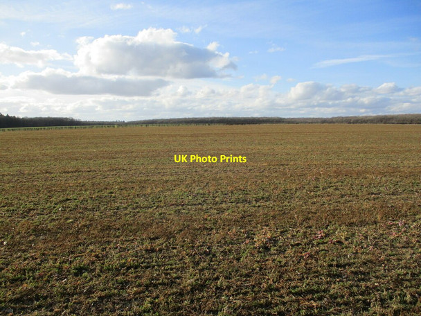 Photo 6"x4" Prepared field and Stainfield Wood Stainfield\/TF1173 c2022