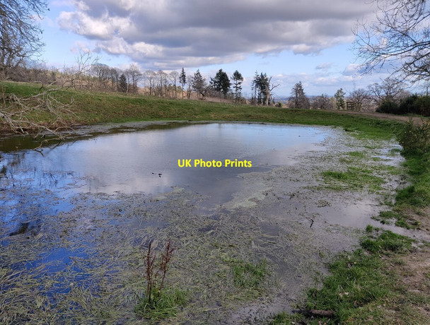 Photo 6"x4" Pond on the Croft Castle and Parkland Croft\/SO4565 c2022