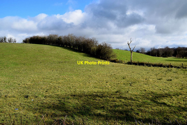 Photo 6"x4" Seskinore Townland Seskinore c2022