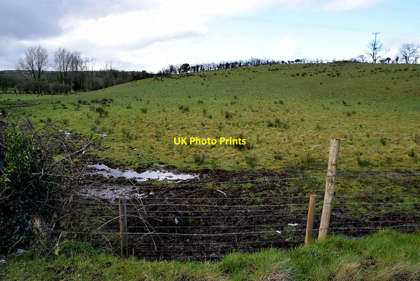 Photo 6"x4" A wet field, Letfern Seskinore c2022