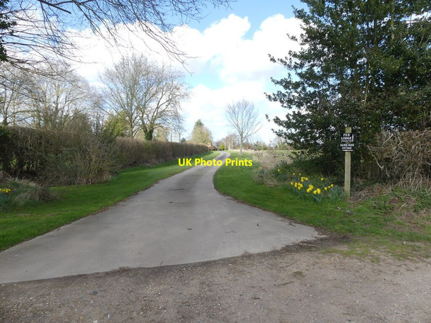 Photo 6"x4" Road to Manor Farm Cottage Cat's Common c2022