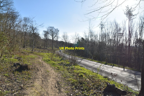 Photo 6"x4" North Downs Way, Titsey Hill Titsey c2021