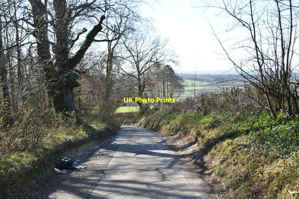 Photo 6"x4" White Lane Titsey c2021