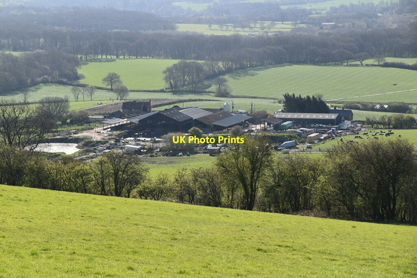 Photo 6"x4" Pilgrims Farm Titsey c2021