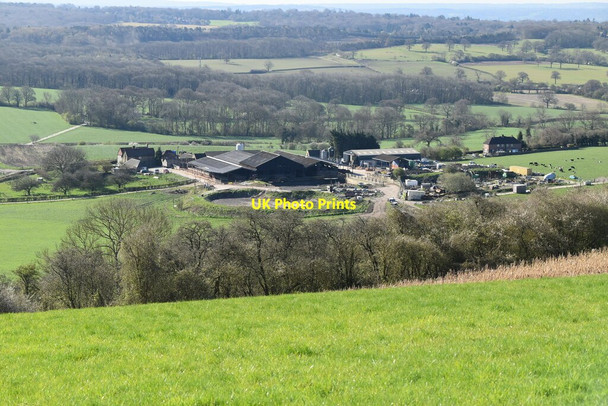 Photo 6"x4" Pilgrims Farm Titsey c2021