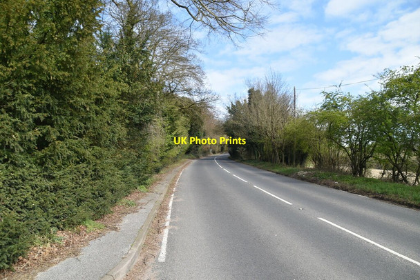 Photo 6"x4" Westerham Hill Force Green c2021