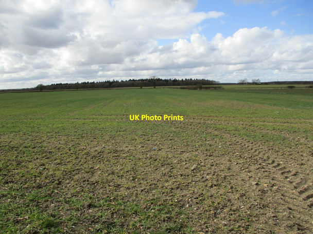 Photo 6"x4" Autumn sown crop and Bucknall Wood Bucknall\/TF1768 c2022