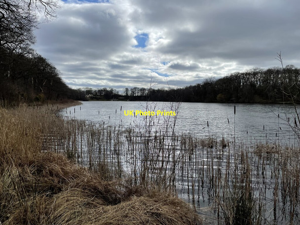 Photo 6"x4" Bomere Pool Betton Strange c2022