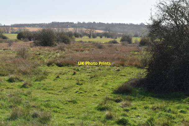 Photo 6"x4" Rough pasture Linkhill c2021