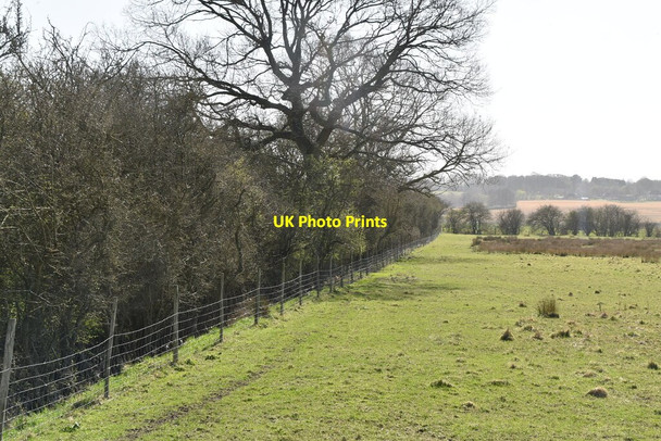 Photo 6"x4" Hedge and ditch Lamberden c2021