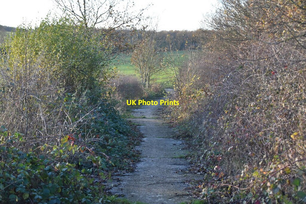Photo 6"x4" Footpath by M25 Epping c2021