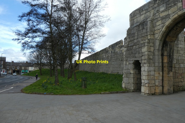 Photo 6"x4" Walls at Fishergate Bar York\/SE5951 c2022