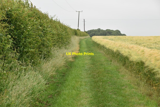 Photo 6"x4" Grassy field edge footpath Boxworth c2021