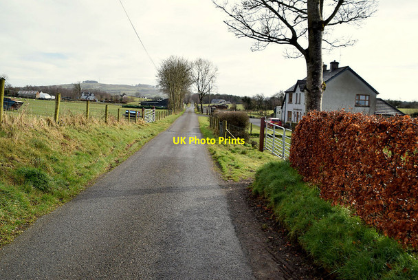 Photo 6"x4" Fernagh Road, Oxtown Mountfield\/H5378 c2022