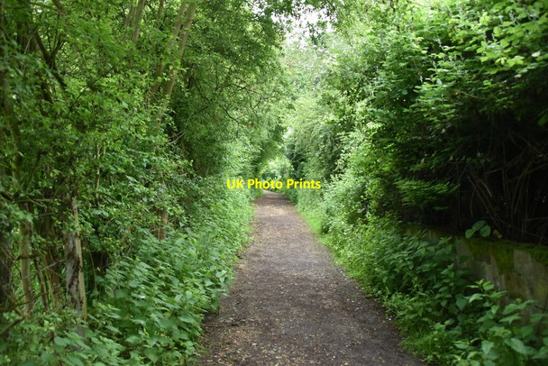 Photo 6"x4" Footpath, Overhall Grove Knapwell c2021 P1