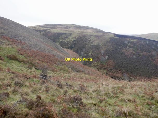 Photo 6"x4" Caller Cleuch Ladyside\/NT3650 c2021