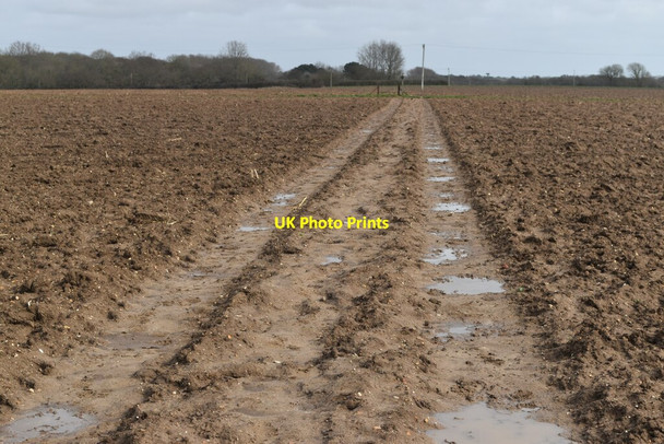 Photo 6"x4" Path across bare field near Lymore Farm Lymore\/SZ2992 c2022