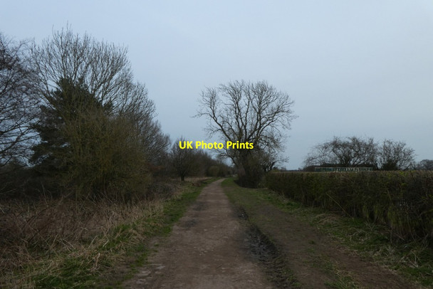 Photo 6"x4" Path in the Outgang Fulford\/SE6149 c2022