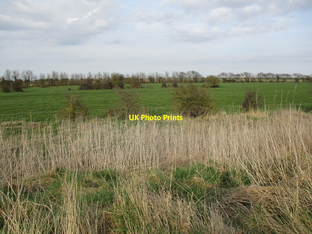 Photo 6"x4" Grassland near Sailor's Home Hall End\/TF4350 c2022