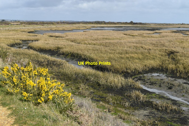 Photo 6"x4" Tidal marshes at Keyhaven Lower Pennington c2022