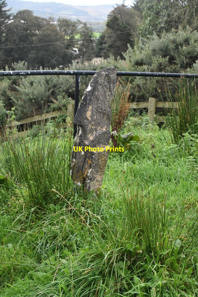 Photo 6"x4" High Cross, Gartan Church Hill\/C0615 c2021