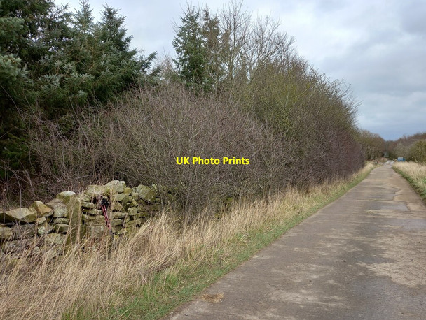 Photo 6"x4" High Skelding, farm track Eavestone c2022