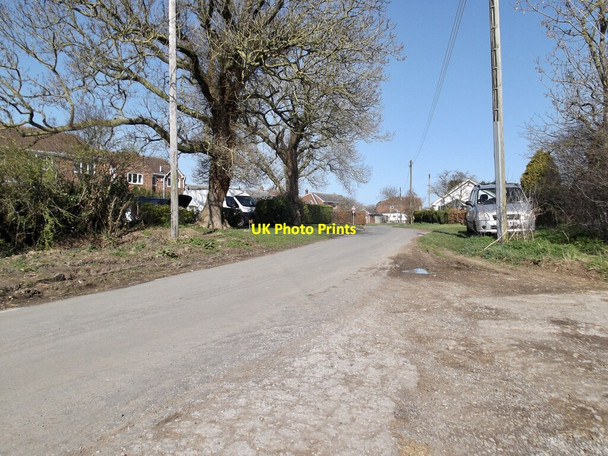 Photo 6"x4" Humber Lane, Welwick Weeton\/TA3520 c2022