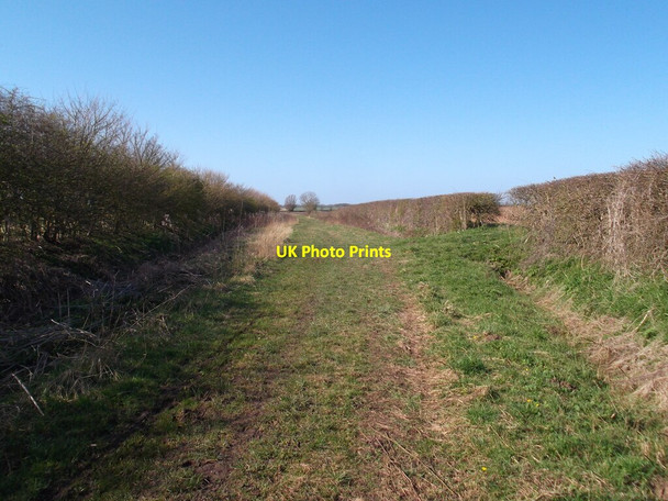 Photo 6"x4" Ings Lane, Patrington Patrington c2022
