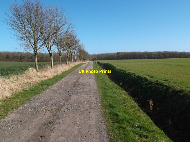 Photo 6"x4" Private road to Weldon's Plantation Patrington c2022