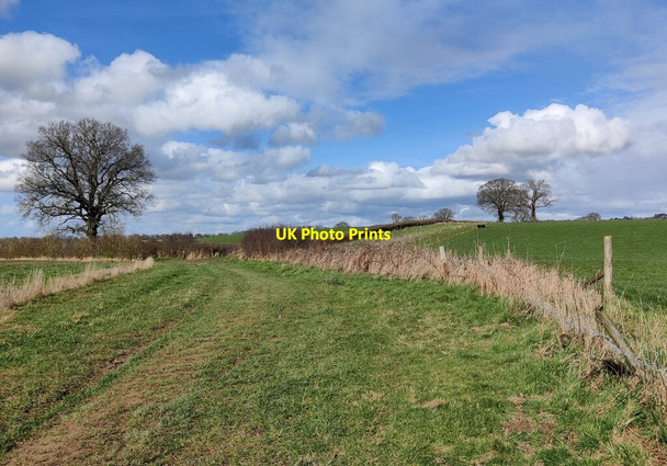 Photo 6"x4" Upper Arley Circular Walk near Eyemore Wood Nash End c2022