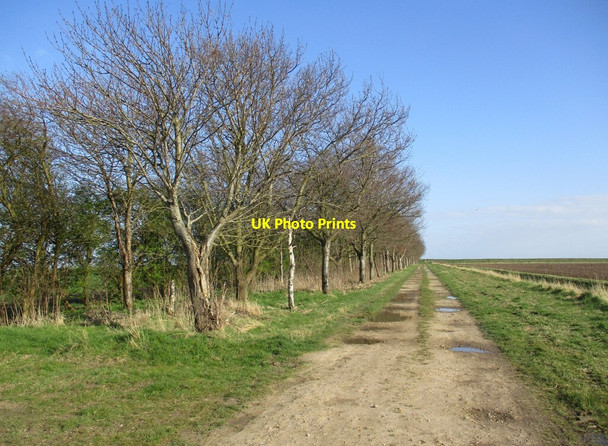 Photo 6"x4" Track to the Sea Bank, Benington Benington Sea End c2022