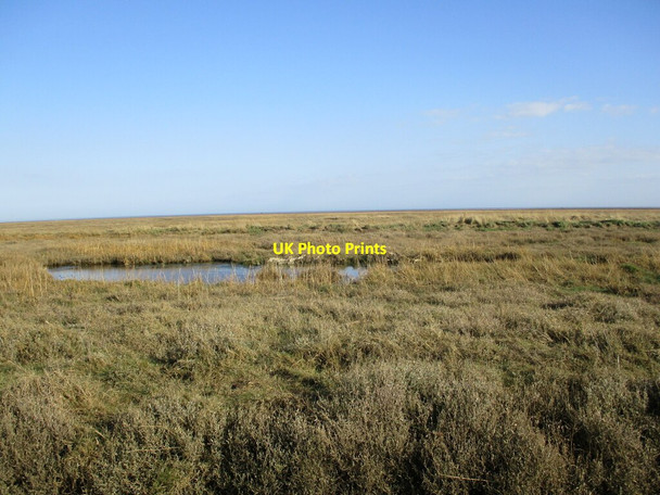 Photo 6"x4" Salt marsh, Benington Leverton Lucasgate c2022