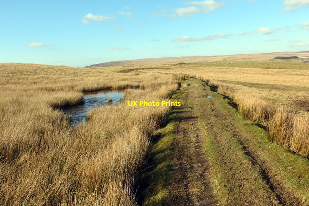 Photo 6"x4" Trac ar lethrau Bryn Rhymni \/ Track on the slopes of Rhymney Hill Tredegar c2022