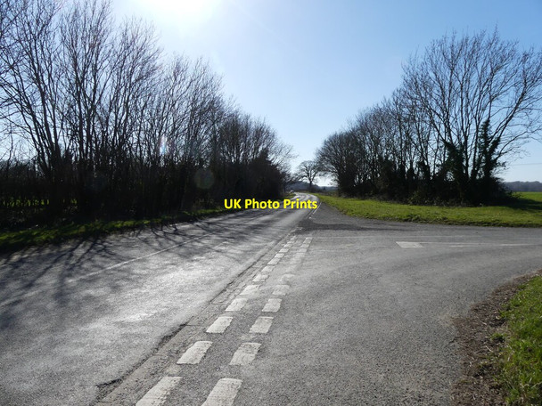 Photo 6"x4" Road to Buxton Lamas c2022