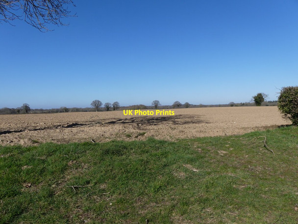 Photo 6"x4" Ploughed field Lamas c2022