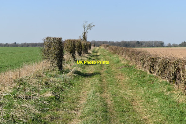 Photo 6"x4" Downland path towards Druid's Lodge Middle Woodford c2022