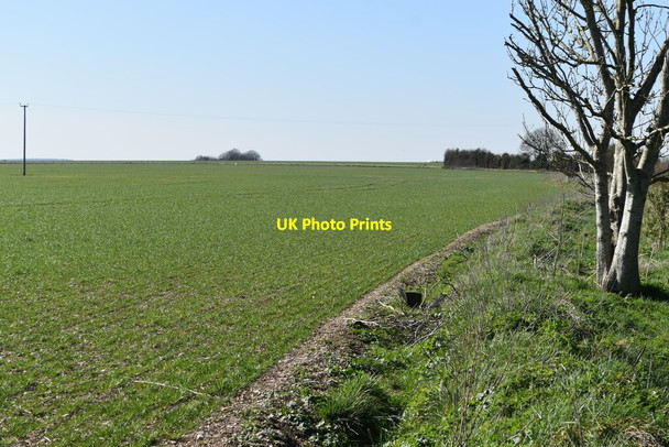 Photo 6"x4" Field edge south of the Monarch\u00e2\u0080\u0099s Way Stoford\/SU0835 c2022