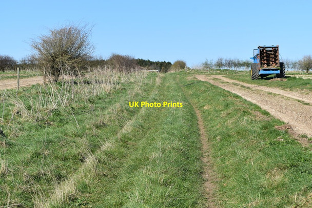 Photo 6"x4" Track on Chain Hill Stapleford\/SU0737 c2022