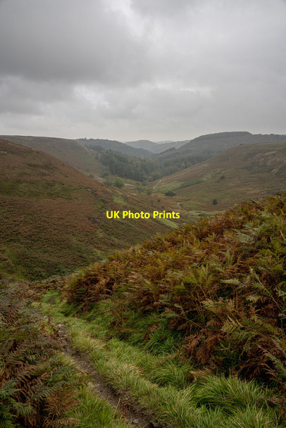 Photo 6"x4" Thorodale from Arden Moor North Moor Wood c2021
