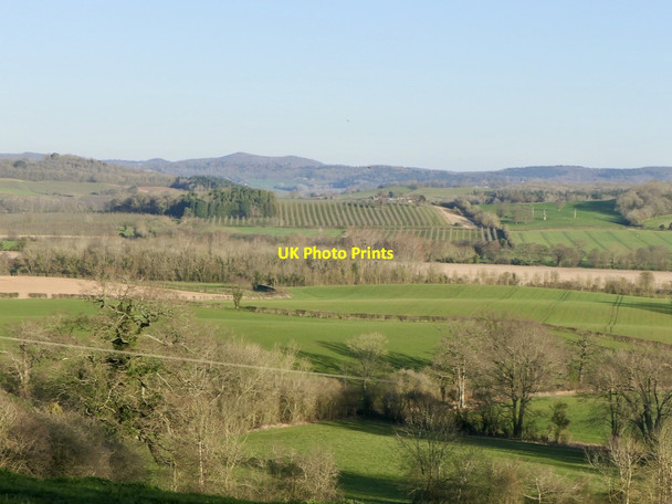 Photo 6"x4" View from Upper Egleton Stretton Grandison c2022
