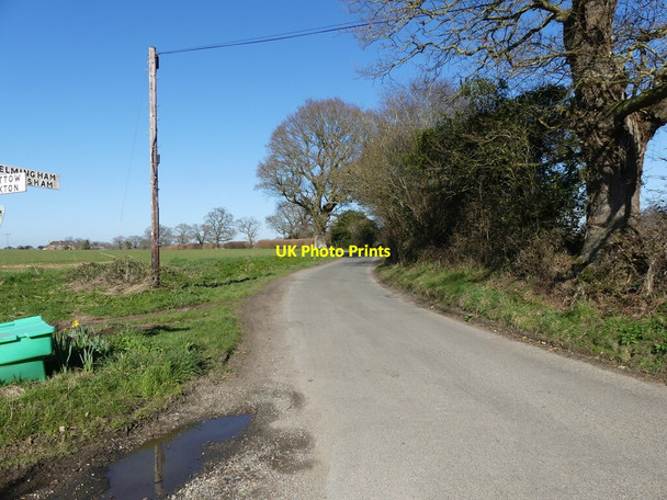 Photo 6"x4" Black Horse Road to Felmingham & North Walsham Lamas c2022
